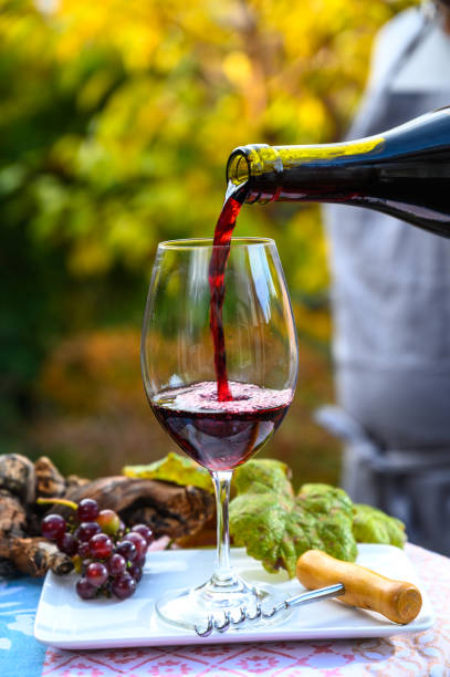 derramando o vinho vermelho do beaujolais do yound no vidro durante a celebração do fim da colheita e da primeira liberação da venda em terceira quinta-feira de novembro em borgonha, france - beaujolais - fotografias e filmes do acervo