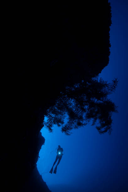 istock Diver at the Blue Holes in Palau, Micronesia 1188885117