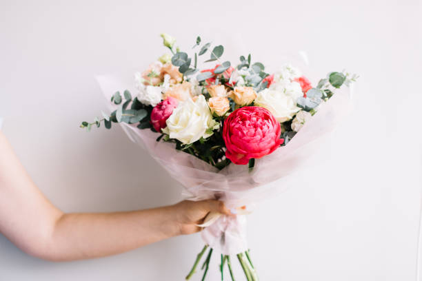 Very nice young woman's hand holding beautiful blossoming bouquet of fresh peony, roses, mattiola, eucalyptus, eustoma flowers in white and vivid red colors on the grey wall background stock photo