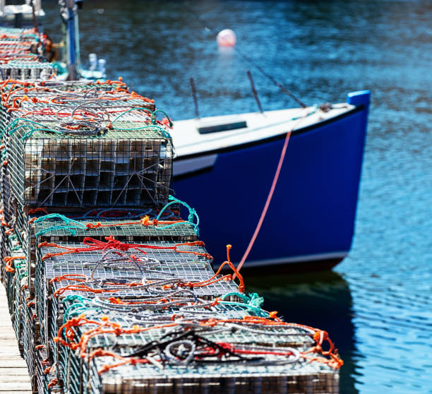 istock Nova Scotian Fishing Village 1188893441