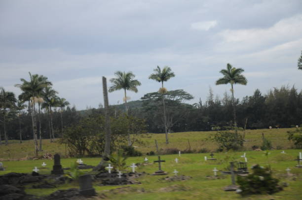 istock Hilo Cemetery Kilauea Volcano Hilo Hawaii 1188893668