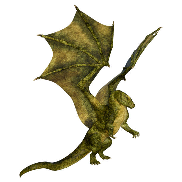 istock 3D illustration fantasy dragon on white 1188894207