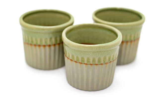 istock flowerpot pot green on a white background isolated 1188898912