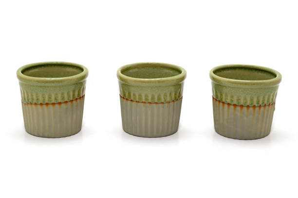 istock flowerpot pot green on a white background isolated 1188898953