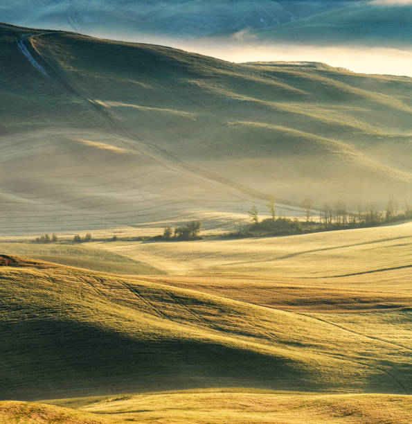 Dawn in Tuscany, Siena Province, Italy Dawn in Tuscany, Siena Province, Italy house landscaped beauty in nature horizon over land stock pictures, royalty-free photos & images