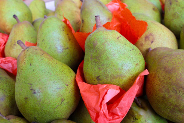 istock Pears. France. 1188899421