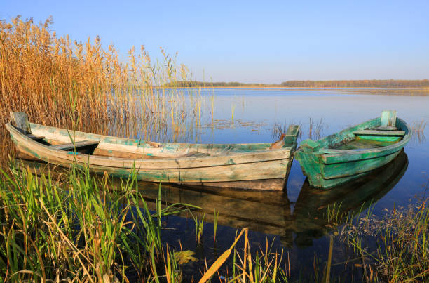 istock wooden boats on lake 1188899993