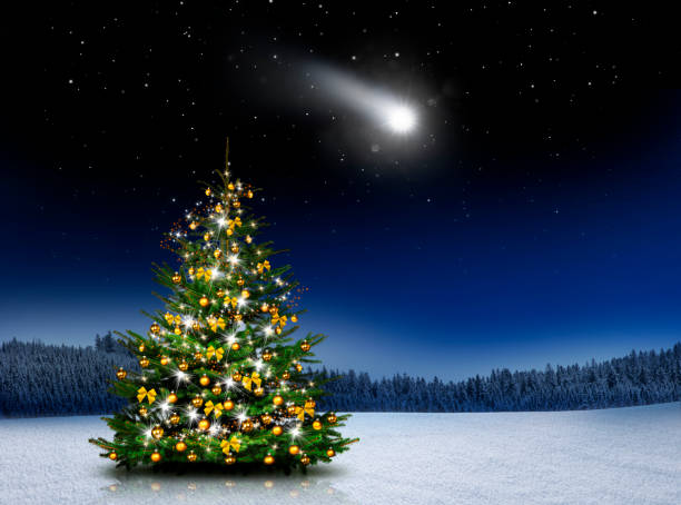 istock Illuminated christmas tree  in winter night 1188901474