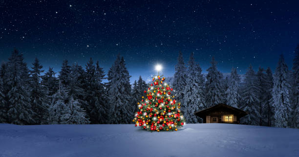 istock Illuminated christmas tree  in winter night 1188901479