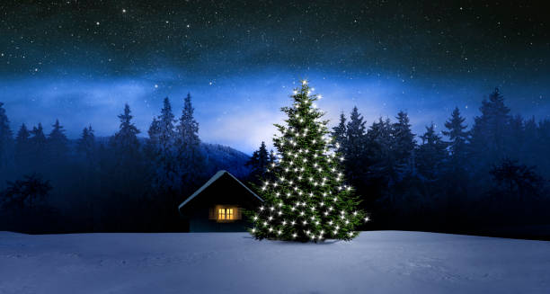 arbre de noel illuminé dans la nuit d'hiver - landscape cold tree pine photos et images de collection