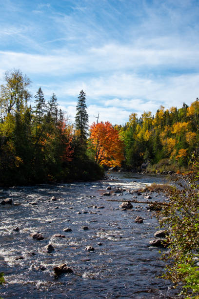 istock Sand River in autumn in Ontario Canada 1188903845