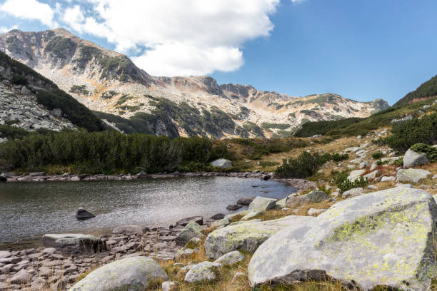 istock landscape with mountain river, Pirin Mountain, Bulgaria 1188905101
