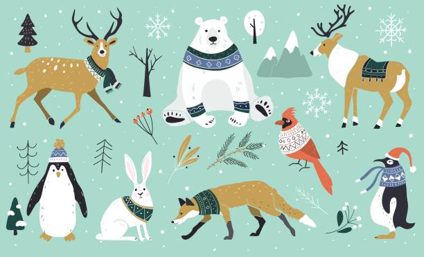 숲, 곰, 여우, 토끼, 순록, 펭귄에서 크리스마스 동물의 집합입니다. 스칸디나비아 스타일입니다. 스웨터와 스카프를 입은 겨울 동물. 손으로 그린 캐릭터 만화 플랫 디자인. - 2962 stock illustrations