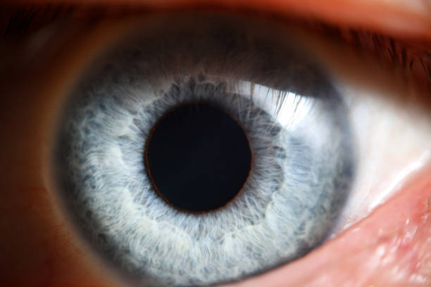 blue eye male human super macro closeup - eyes narrowed imagens e fotografias de stock