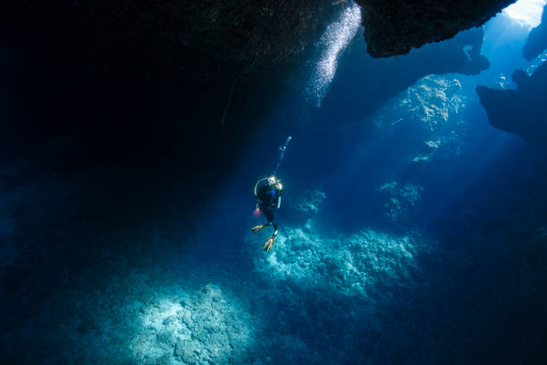 taucher in den blauen löchern in palau, mikronesien - deep sea diving stock-fotos und bilder