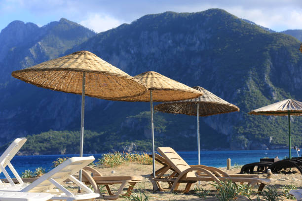 istock Straw sun umbrellas on sea shore 1188911992