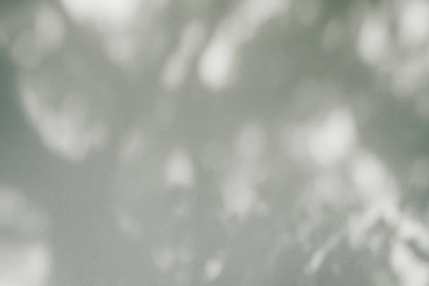 istock shadow of the leaves on wall background 1188912178