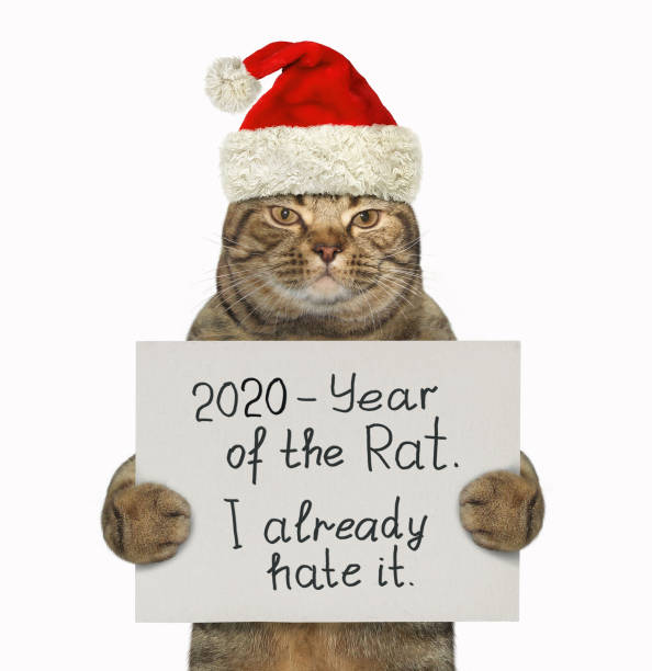 istock Cat in red hat hating year of rat 1188912216