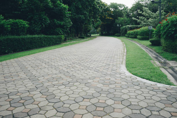 istock Space and cement brick floor in public park 1188912417