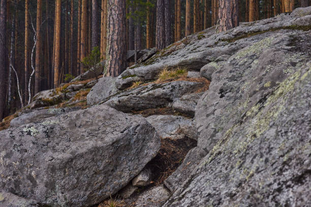 istock Large stone boulders in the forest. 1188915580