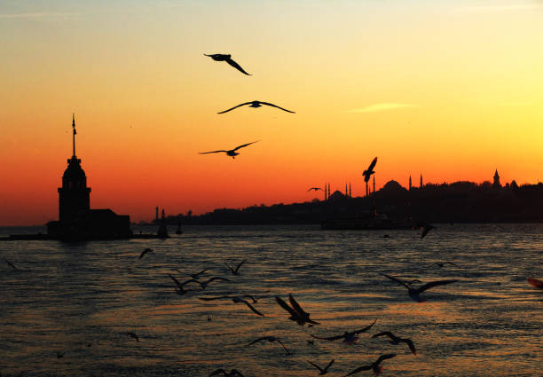istock landscapes and cities 1188918069