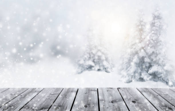 istock Snowy fir trees in forest with snowdrift 1188923105