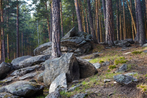istock Large stone boulders in the forest. 1188928725