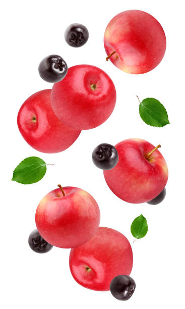 istock flying red apples and black chokeberry isolated on white background. 1188930022