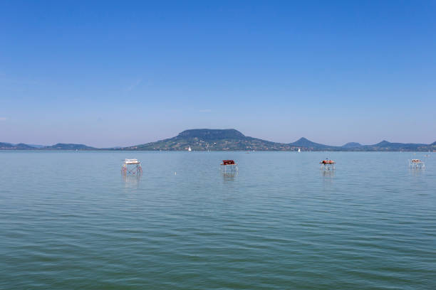 istock Lake Balaton view from Fonyod, Hungary. 1188930461