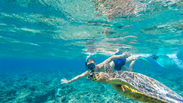 istock Gili Island - A man diving with turtle 1188931383