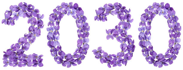 istock Numeral 2030 from flowers of viola, isolated on white background 1188932091