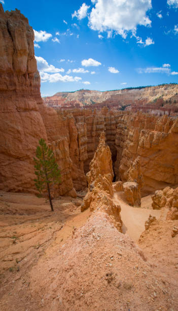 istock slot in Bryce Canyon Utah 1188933630