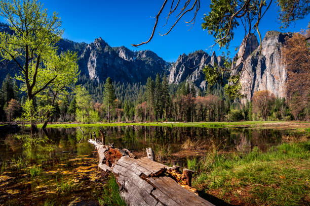 istock Yosemite National Park 1188933813