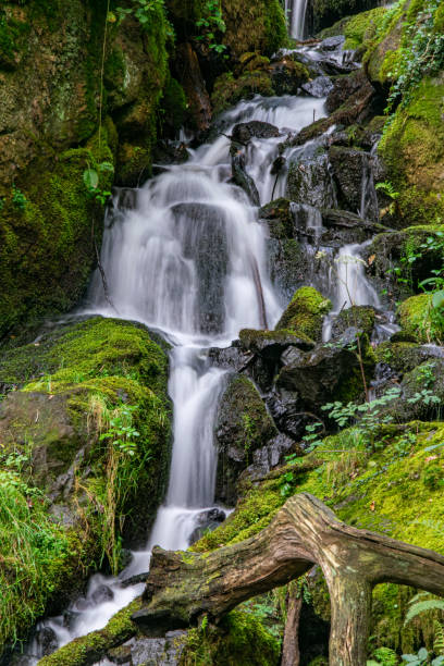 istock Waterfall near Burrator Reserviour, Sheepstor, Devon, UK 1188934909