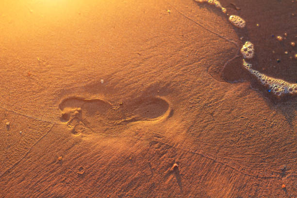footprints in the sand on the beach at sunset