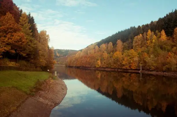 Photo of Amazing golden time enveloped the banks of the river