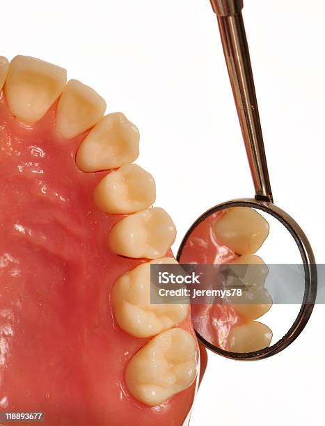 Teeth Examined By Dental Mirror During Checkup Stock Photo - Download Image Now - Angled Mirror, Bicuspid, Canine - Animal