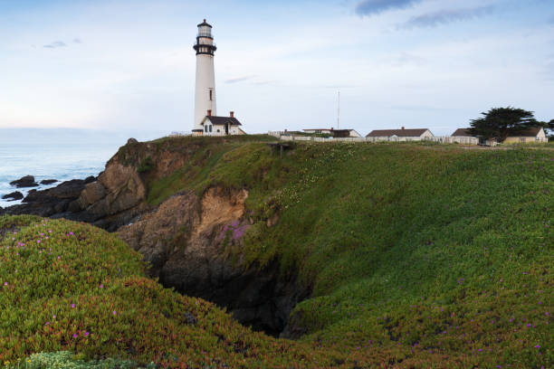 istock White pigeon point lighthouse with a blue sky  Historic Old Lighthouse at sunset - Pigeon Point Lighthouse - California, USA 1188940501