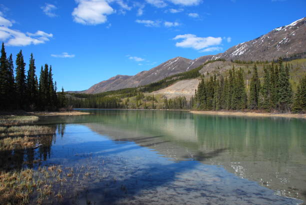 istock Forest clear lake in the mountains 1188941554