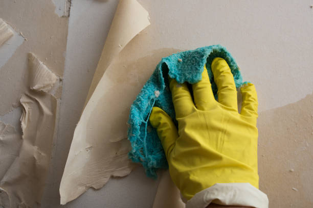istock Cleaning the wall from old wallpaper 1188946045