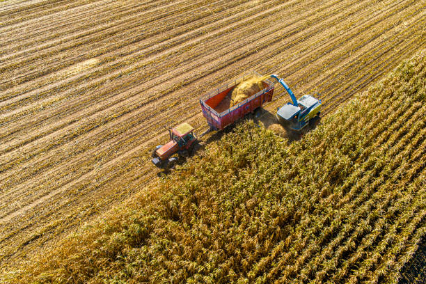 zdjęcie lotnicze z jesiennych zbiorów - tractor green farm corn zdjęcia i obrazy z banku zdjęć