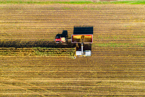 istock Aerial Photo of Fall Harvest 1188946636