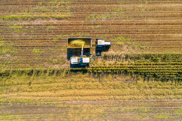 istock Aerial Photo of Fall Harvest 1188946665