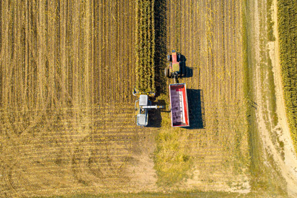 istock Aerial Photo of Fall Harvest 1188946683