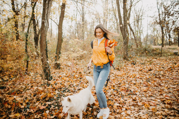 istock Girl on a walk with a Siberian husky 1188948223