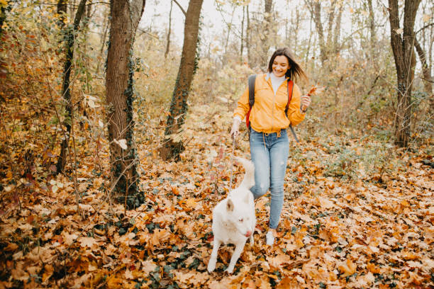 istock Girl on a walk with a Siberian husky 1188948263