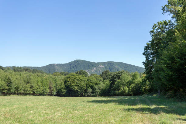istock Open meadow in the Pilis mountains, Hungary. 1188955739