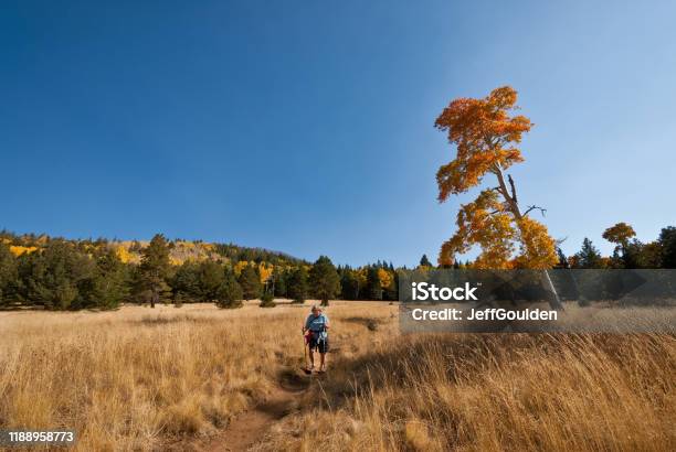 Woman Hiker On The Arizona Trail Stock Photo - Download Image Now - Flagstaff - Arizona, Arizona, People