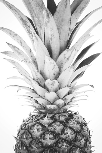 Trendy home interior decoration canvas - single ripe and whole pineapple isolated on a white background (black and white vintage effect)