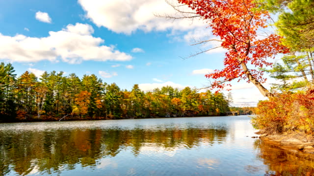 Autumn colours at Lake Muskoka, Gravenhurst, Canada